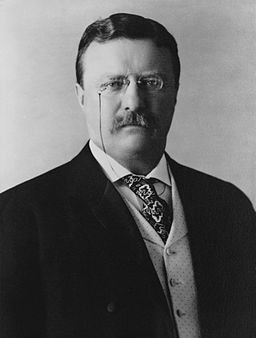 256px President Theodore Roosevelt 1904